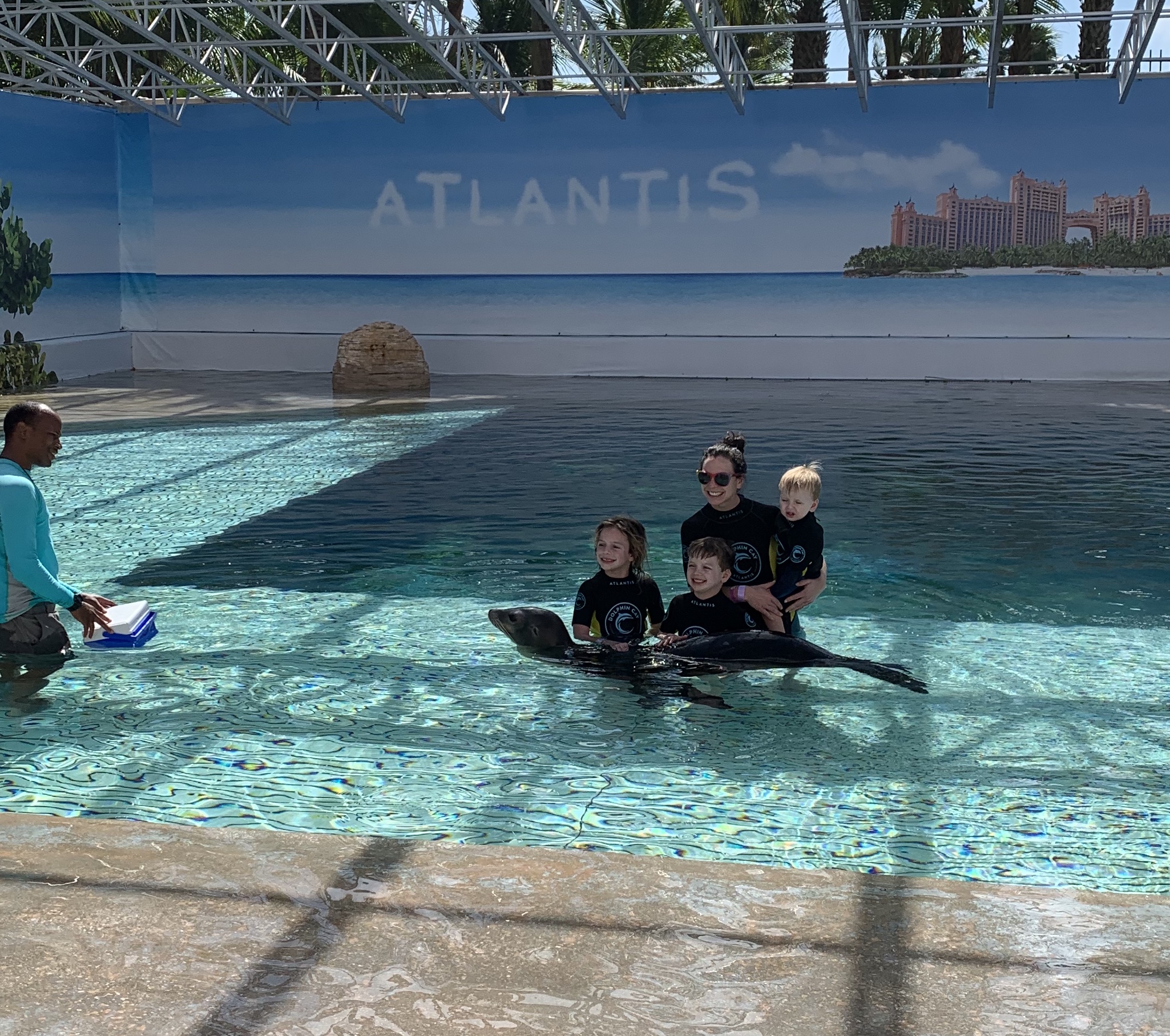 Sea Lion Experience Atlantis - photo