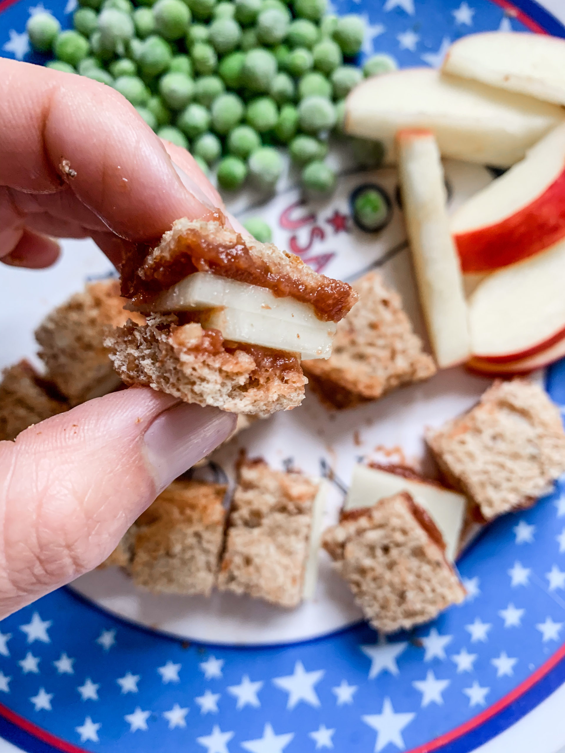 Apple Butter & Cheddar Toddler Lunch - Photo