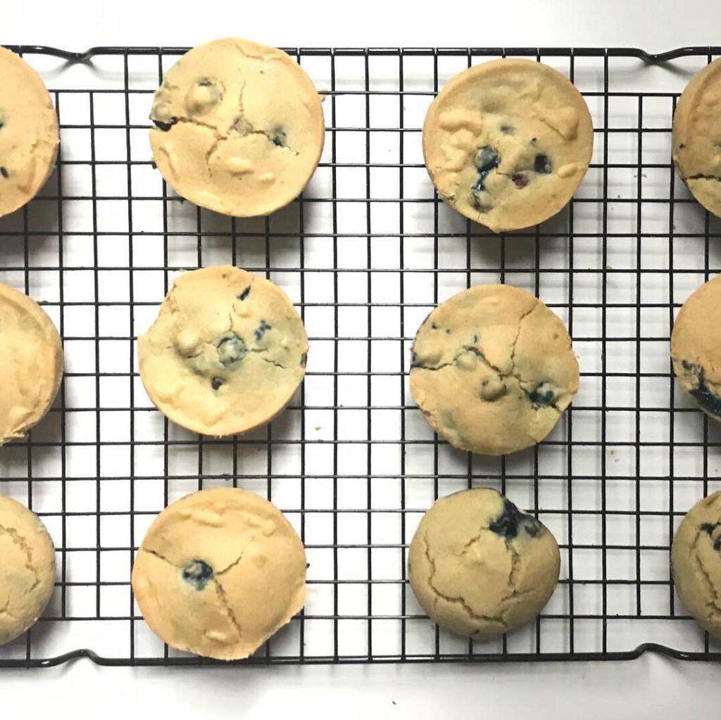 Vegan & Gluten Free Blueberry Muffin