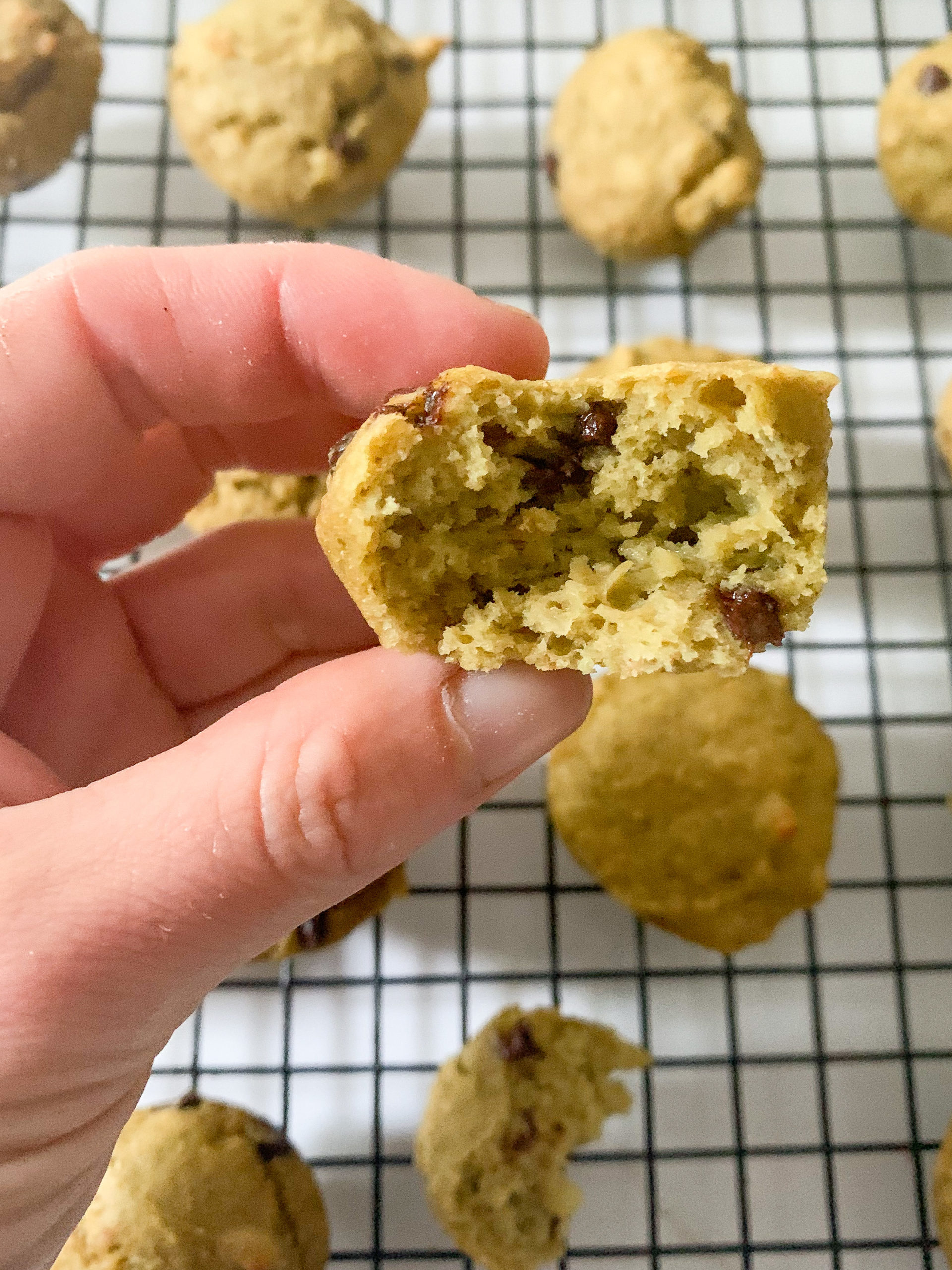 Avocado Chocolate Chip Muffins - recipe