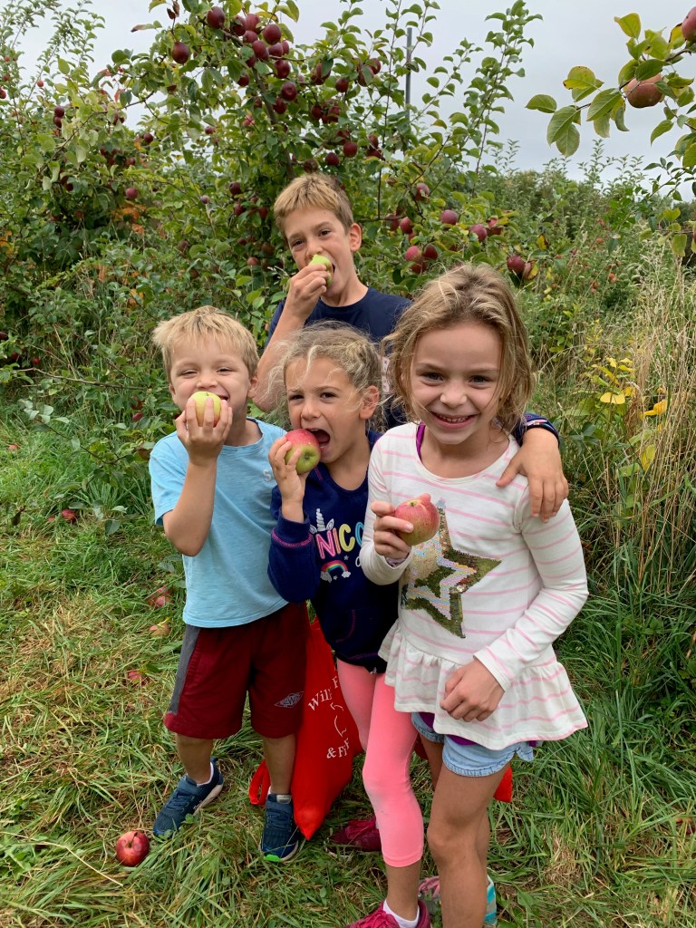Wilkens Farm Apple Picking