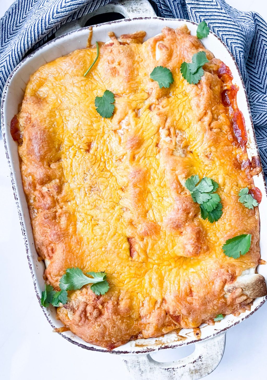 Quick & Easy Chicken Enchiladas - Photo