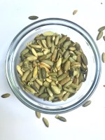 pumpkin seed nutrition