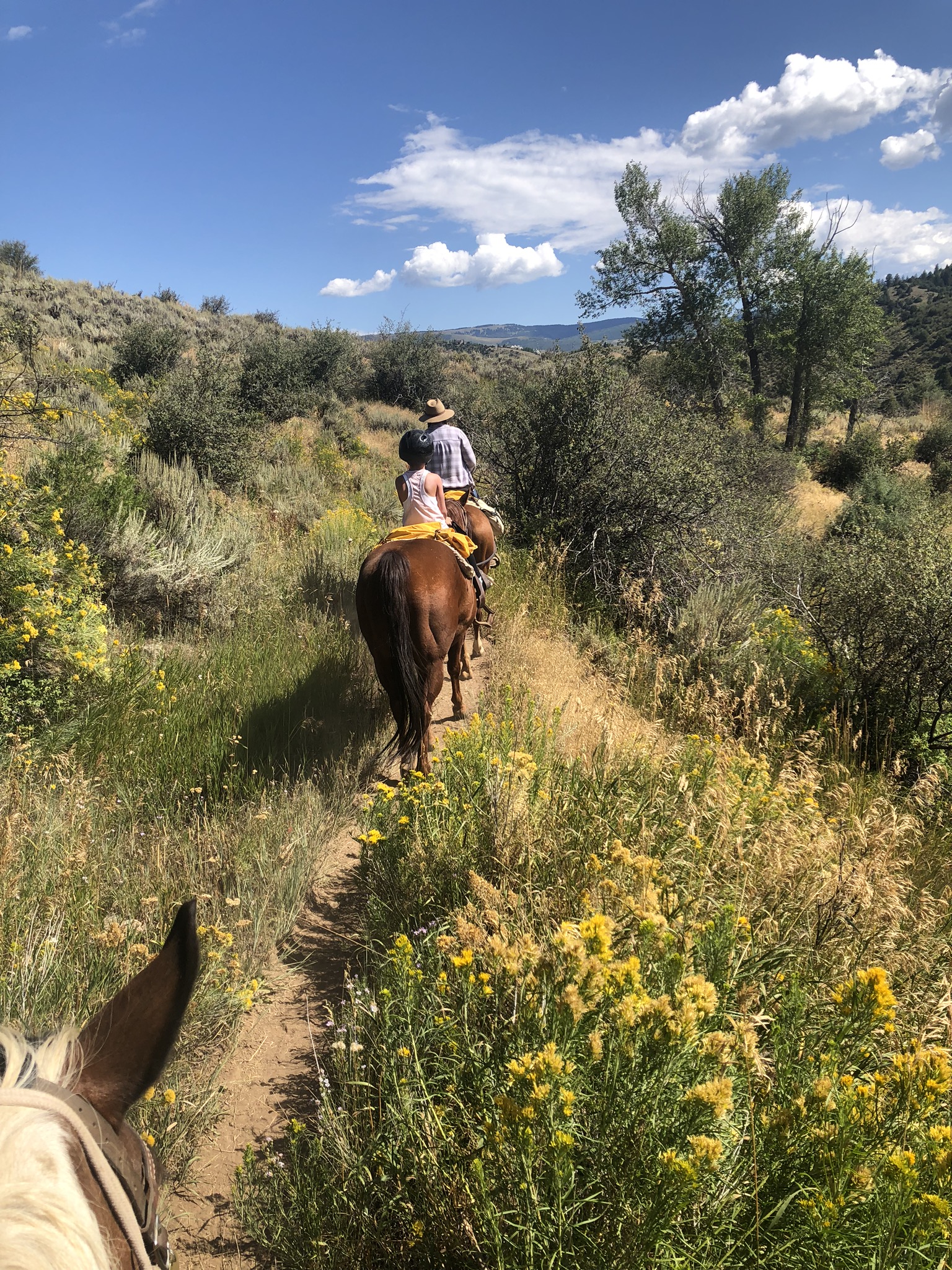 Horseback riding near vail