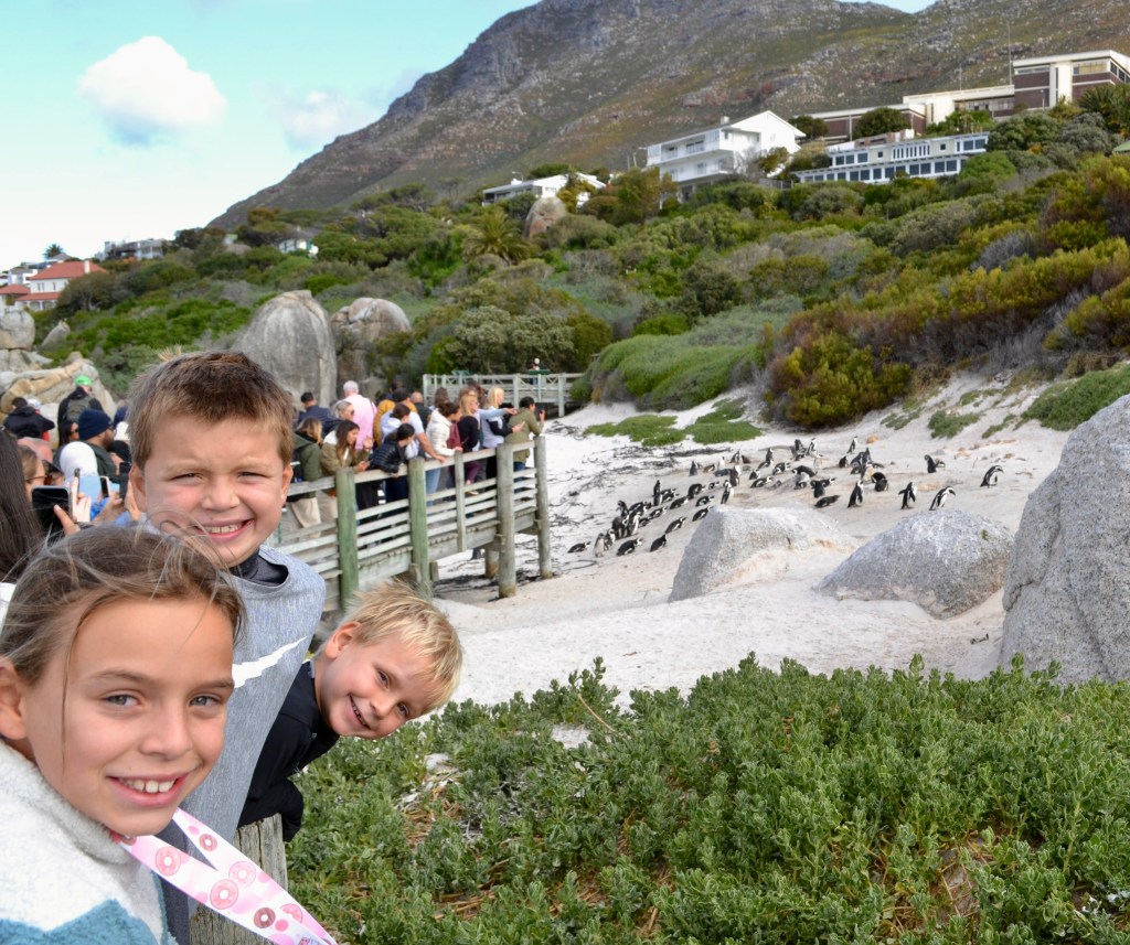 Cape Town with Families