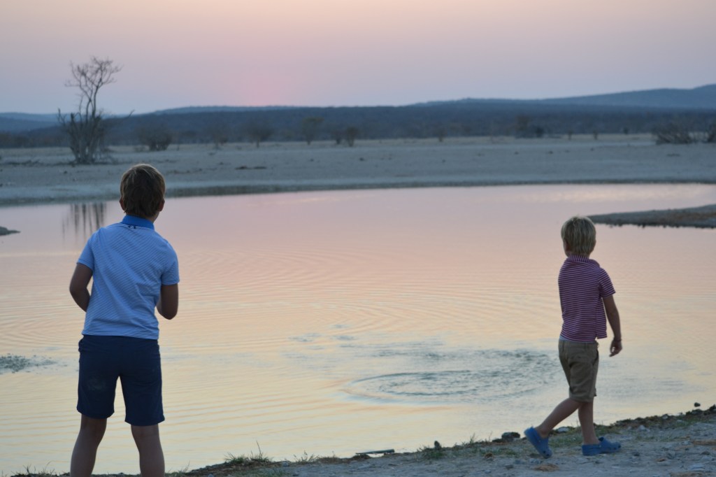 Watering hole rock skipping in Namibia