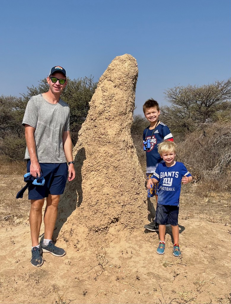 Traveling in Africa with Kids - Termite Mound