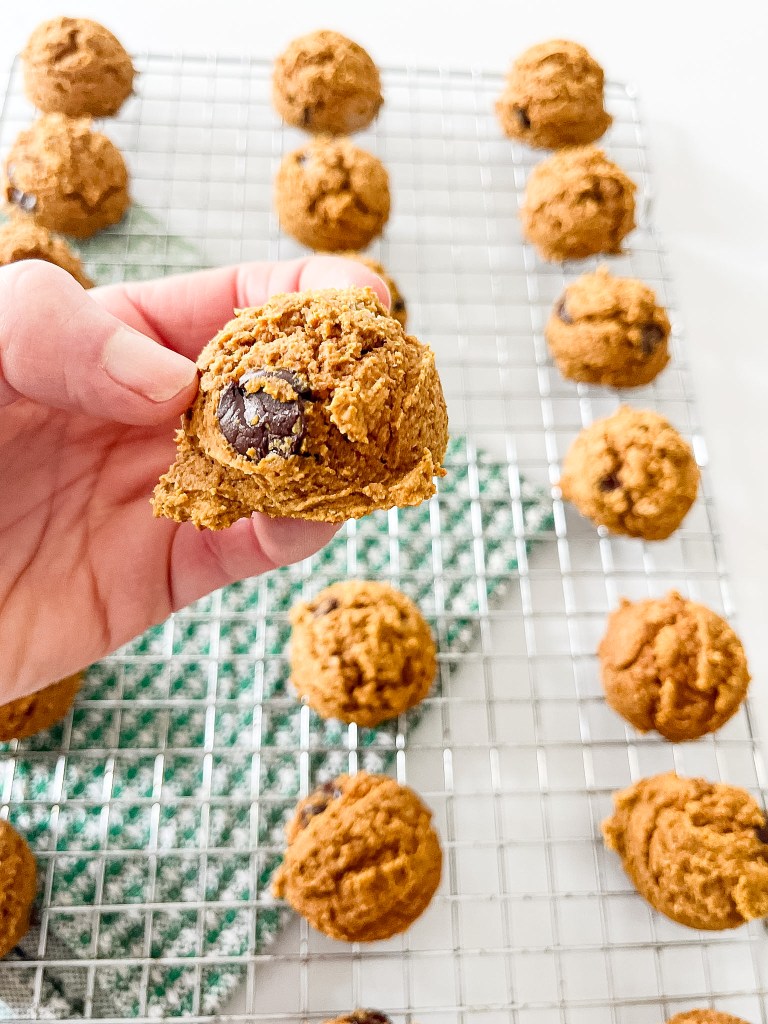 Pumpkin Oat Breakfast Cookies - Photo